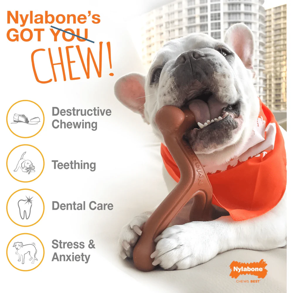 Nylabone Bacon Flavoured Power Chew Bone (Brown) - Image 6