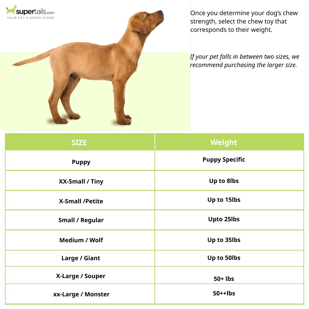 Nylabone Beef Broth ,Veggies and Bacon Flavored Power Chew Twin Bone Toy (Orange,Brown) - Image 3