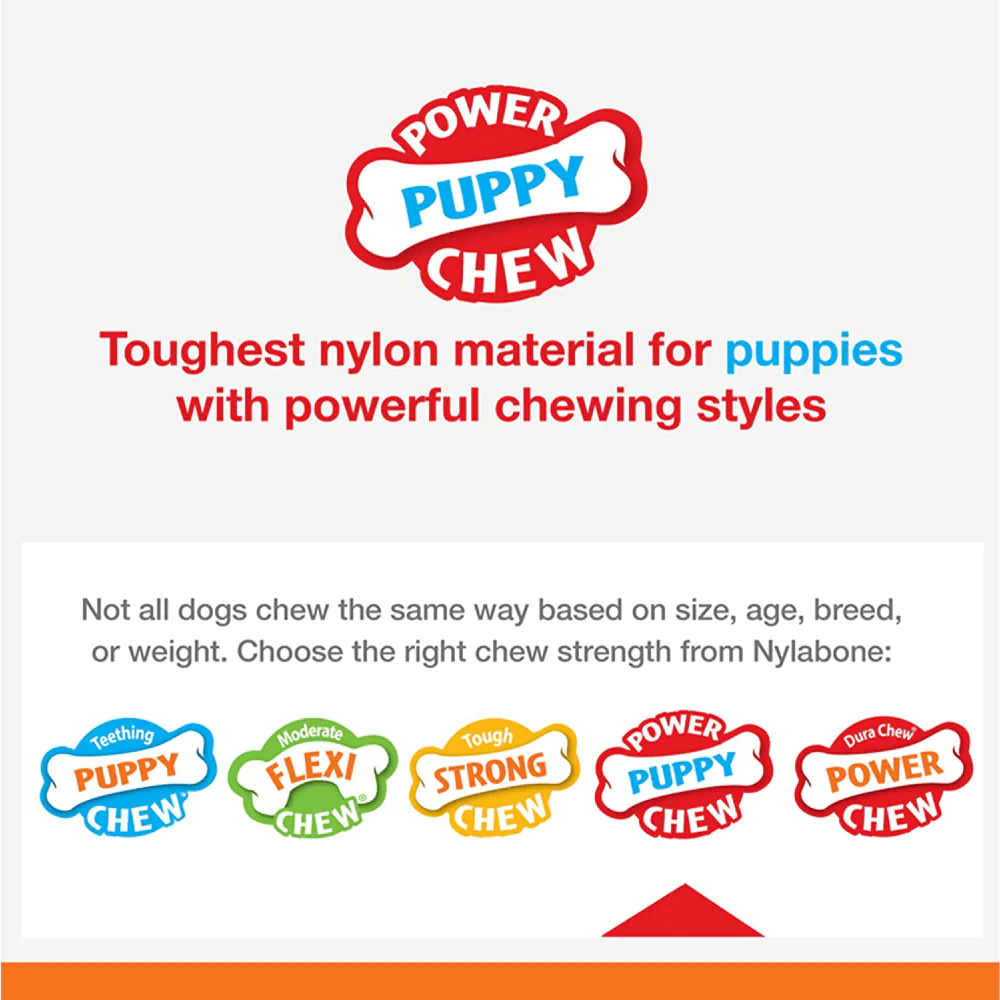Nylabone Beef Broth ,Veggies and Bacon Flavored Power Chew Twin Bone Toy (Orange,Brown) - Image 5