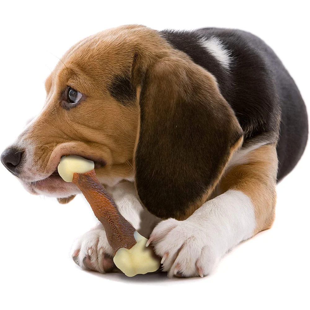 Nylabone Beef Flavor Power Chew Femur Dog Bone for Dogs - Image 11