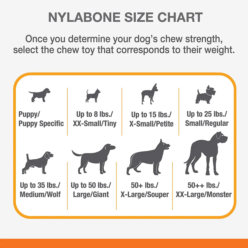 Nylabone Beef Flavor Power Chew Femur Dog Bone for Dogs - Image 6
