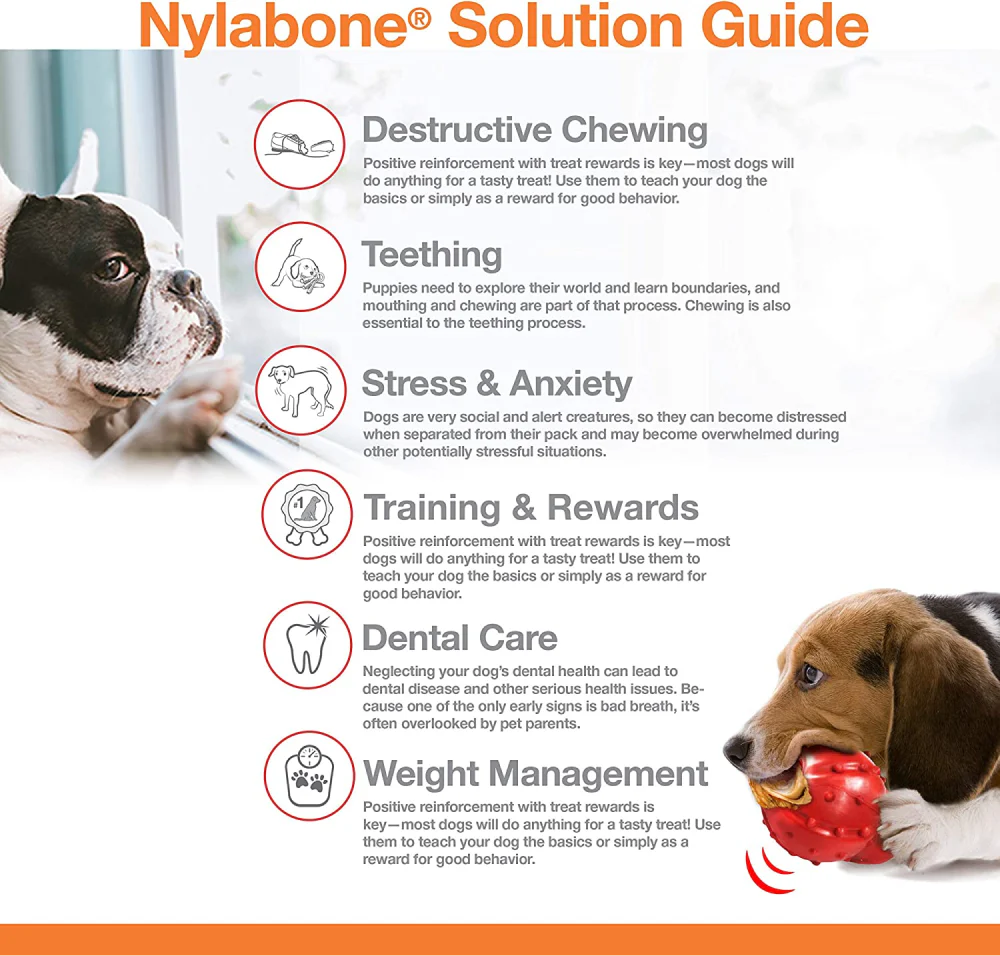 Nylabone Beef Flavor Power Chew Femur Dog Bone for Dogs - Image 7