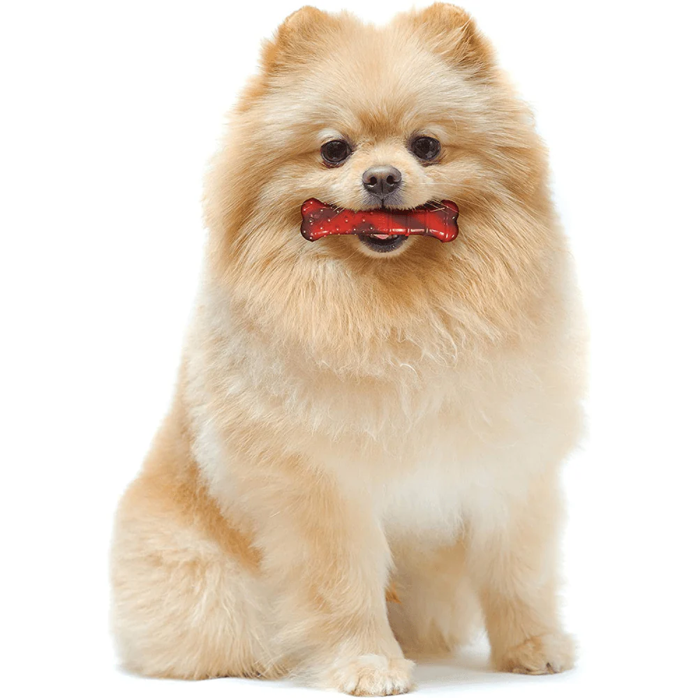 Nylabone Beef Flavored Power Chew Textured Bone (Red,Brown) - Image 6