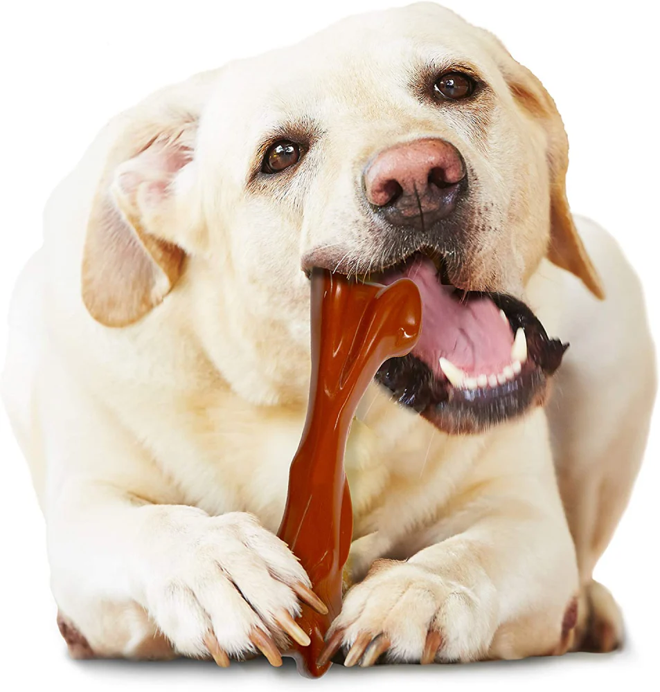Nylabone Bison Flavor Shin Bone Alternative Power Chew Toy for Dogs - Image 6