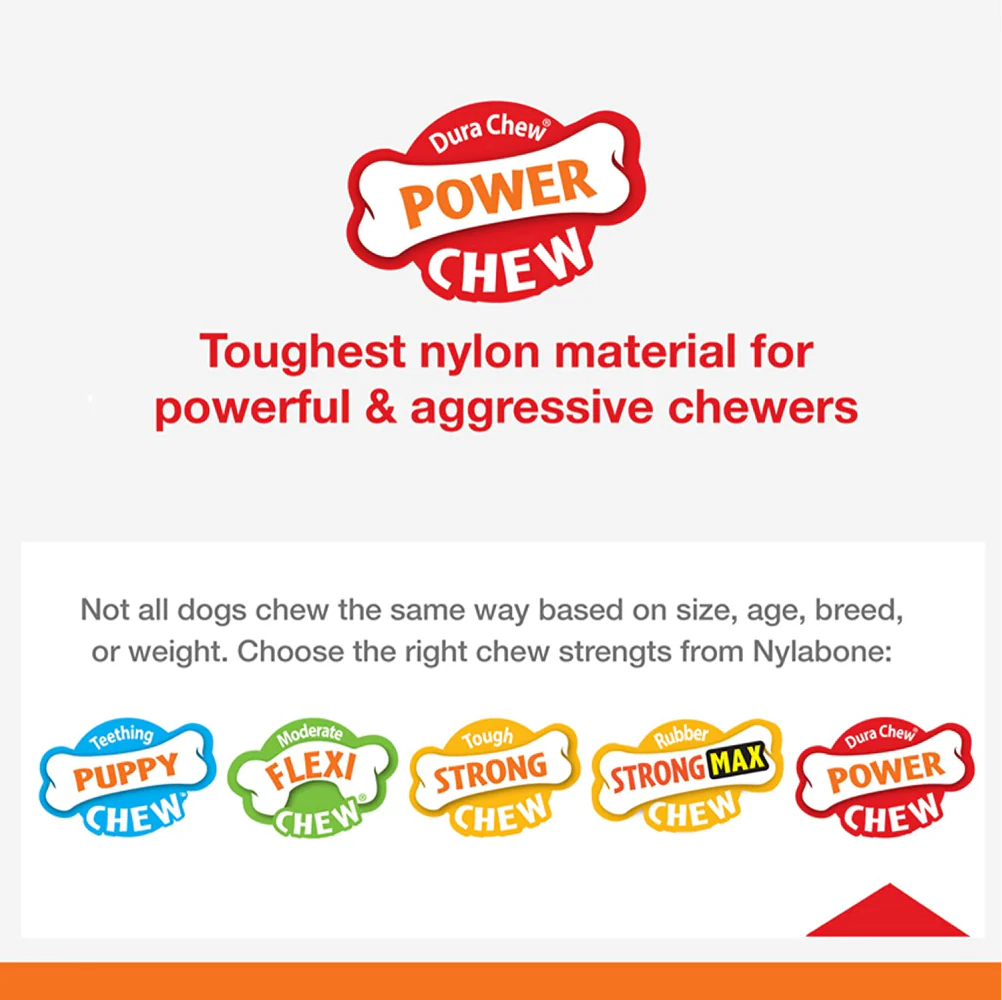 Nylabone Bison Flavor Shin Bone Alternative Power Chew Toy for Dogs - Image 8