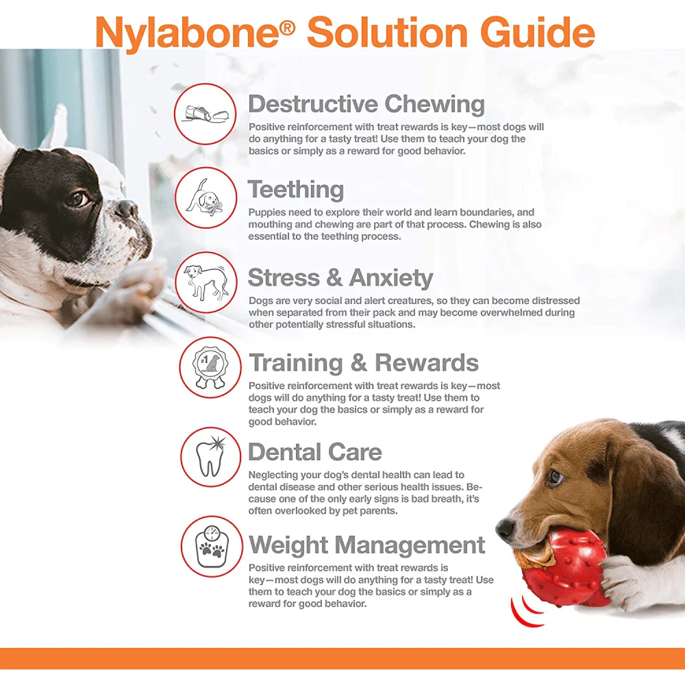 Nylabone Chili Cheese,Buttered Popcorn and Cherry Slushy Flavoured Triple Power Chew Frenzy Bone Toy for Dogs (Yellow, Brown, Beige, Red) - Image 7