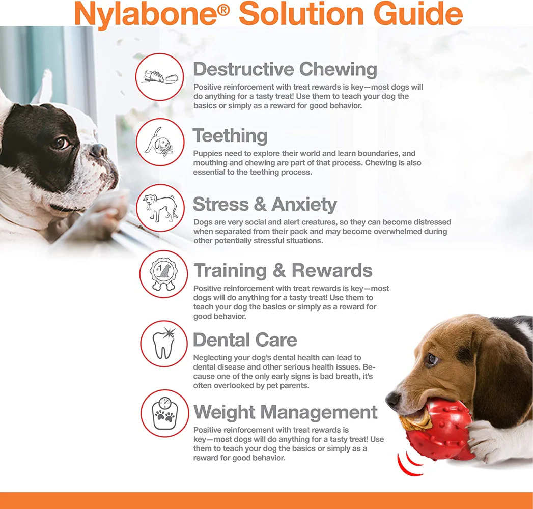 Nylabone Medley Flavoured Textured Power Chew Bone Toy for Dogs (Brown) - Image 7
