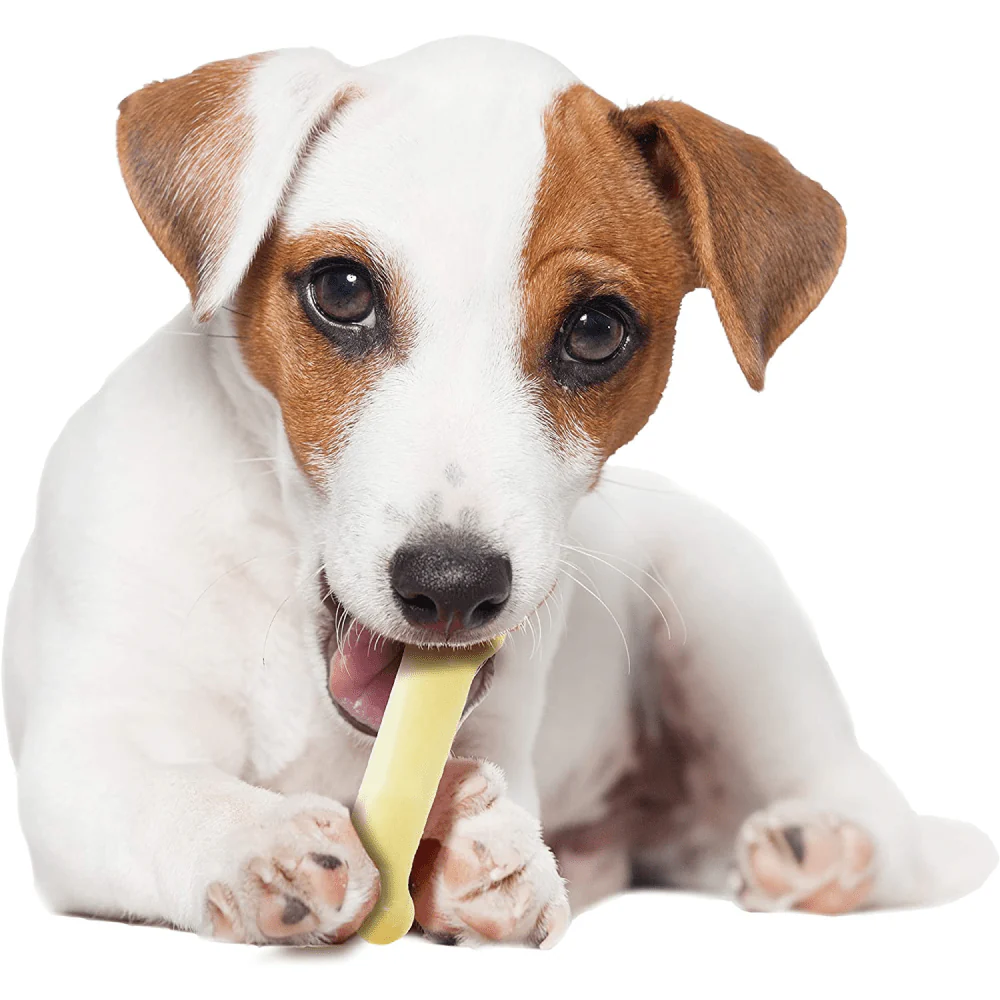 Nylabone Original Flavoured Power Chew Textured Bone (Beige) - Image 11