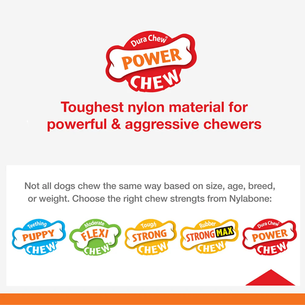 Nylabone Original Flavoured Power Chew Textured Bone (Beige) - Image 5