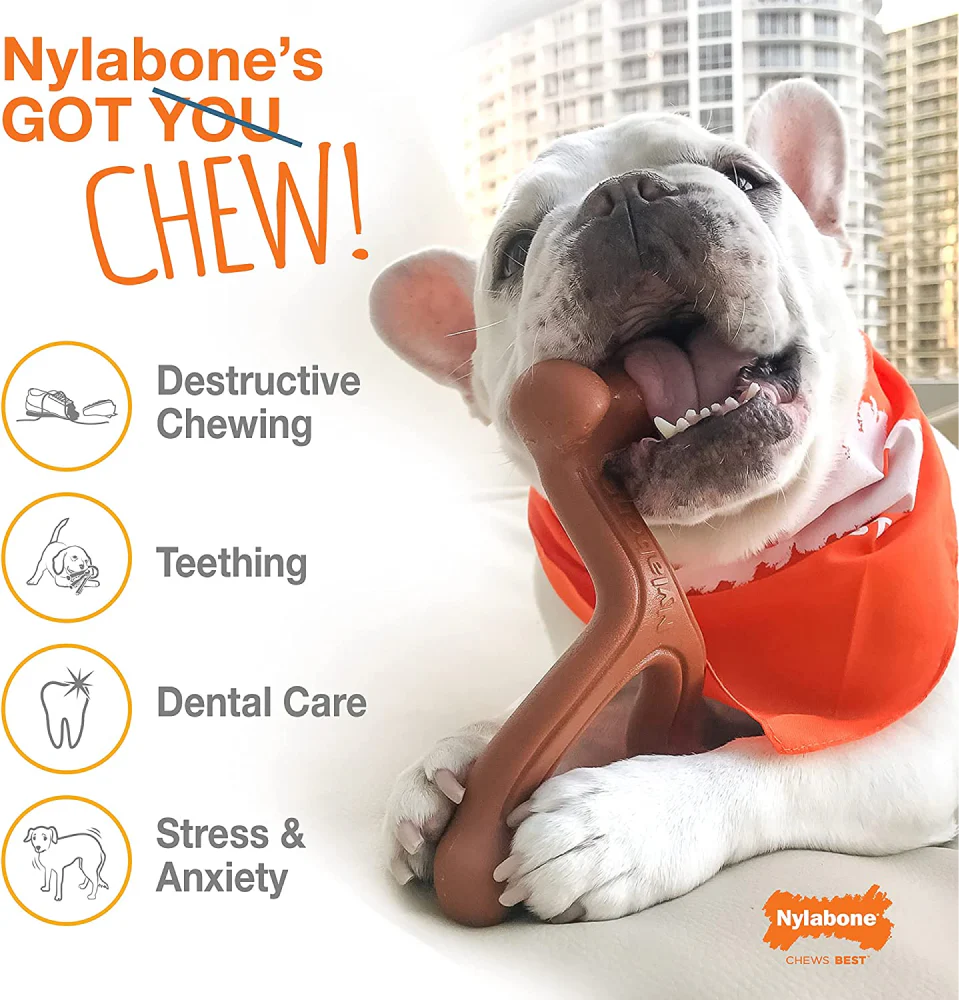 Nylabone Original Flavoured Power Chew Textured Bone (Beige) - Image 6