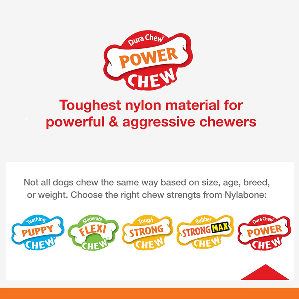Nylabone Power Action Ridges Bone Chew Toy for Dogs - Image 3