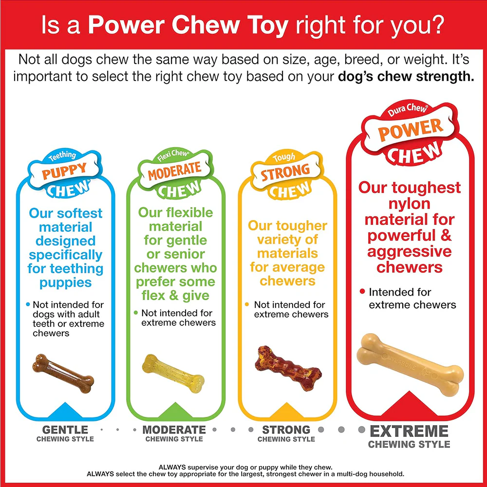 Nylabone Power Action Ridges Bone Chew Toy for Dogs - Image 8