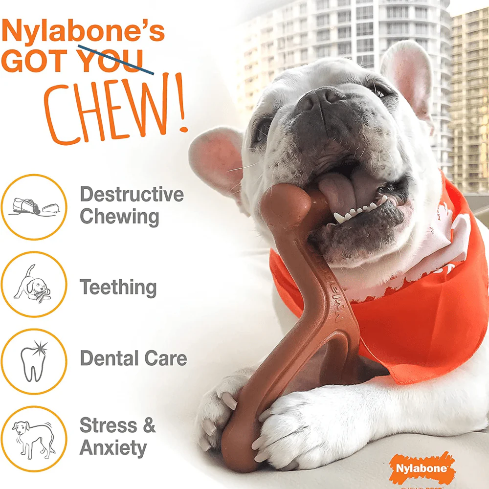 Nylabone Puppy Teething Chicken Flavoured Power Chew Dental Dinosaur Toy for Dogs (White) - Image 6