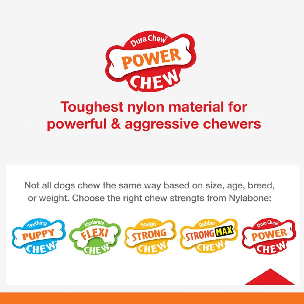Nylabone Puppy Teething Chicken Flavoured Power Chew Dental Dinosaur Toy for Dogs (White) - Image 8