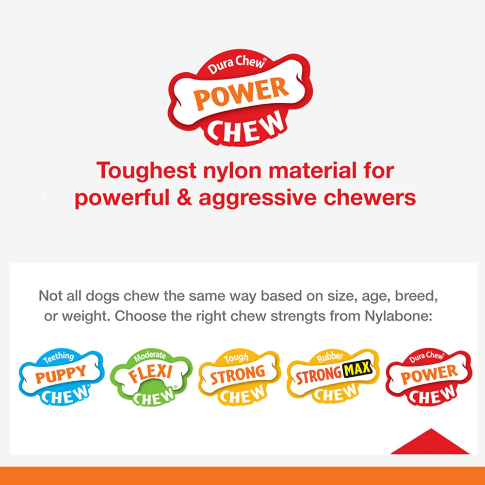 Nylabone Power Chew Flavor Frenzy Bone Twin Pack Toy for Dogs (Yellow, Brown) - Image 7