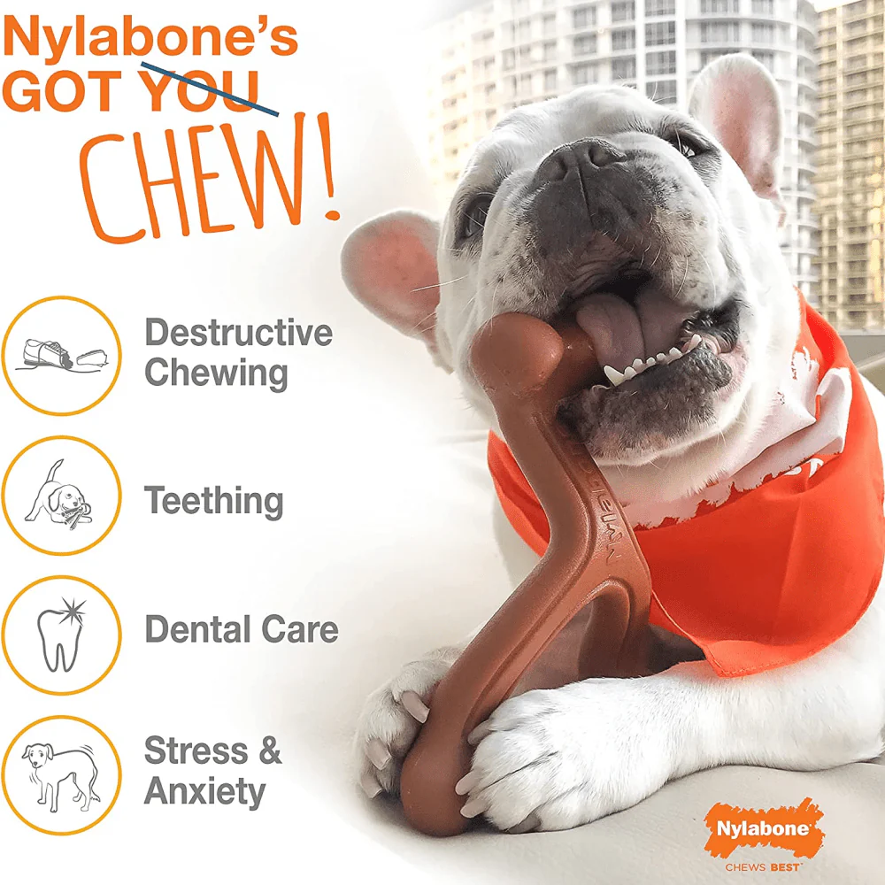 Nylabone Power Chew Flavor Frenzy Bone Twin Pack Toy for Dogs (Yellow, Brown) - Image 8