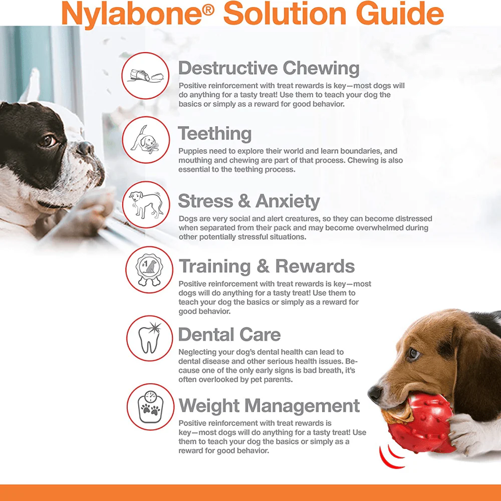 Nylabone Power Chew Flavor Frenzy Textured Bone Toy for Dogs (Yellow, Brown) - Image 6