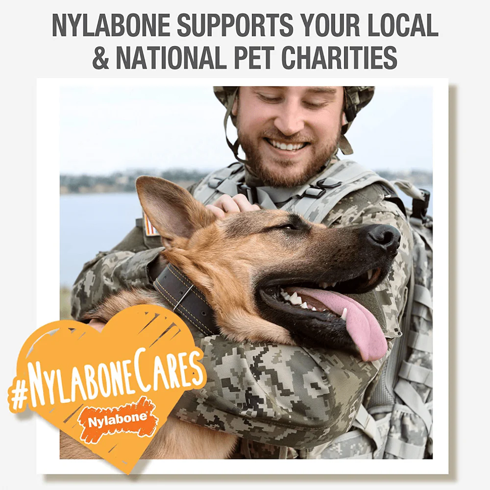 Nylabone Power Chew Flavor Frenzy Textured Bone Toy for Dogs (Yellow, Brown) - Image 7