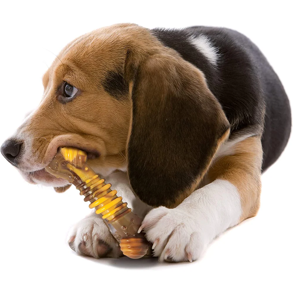 Nylabone Power Chew Flavor Frenzy Textured Bone Toy for Dogs (Yellow, Brown) - Image 9
