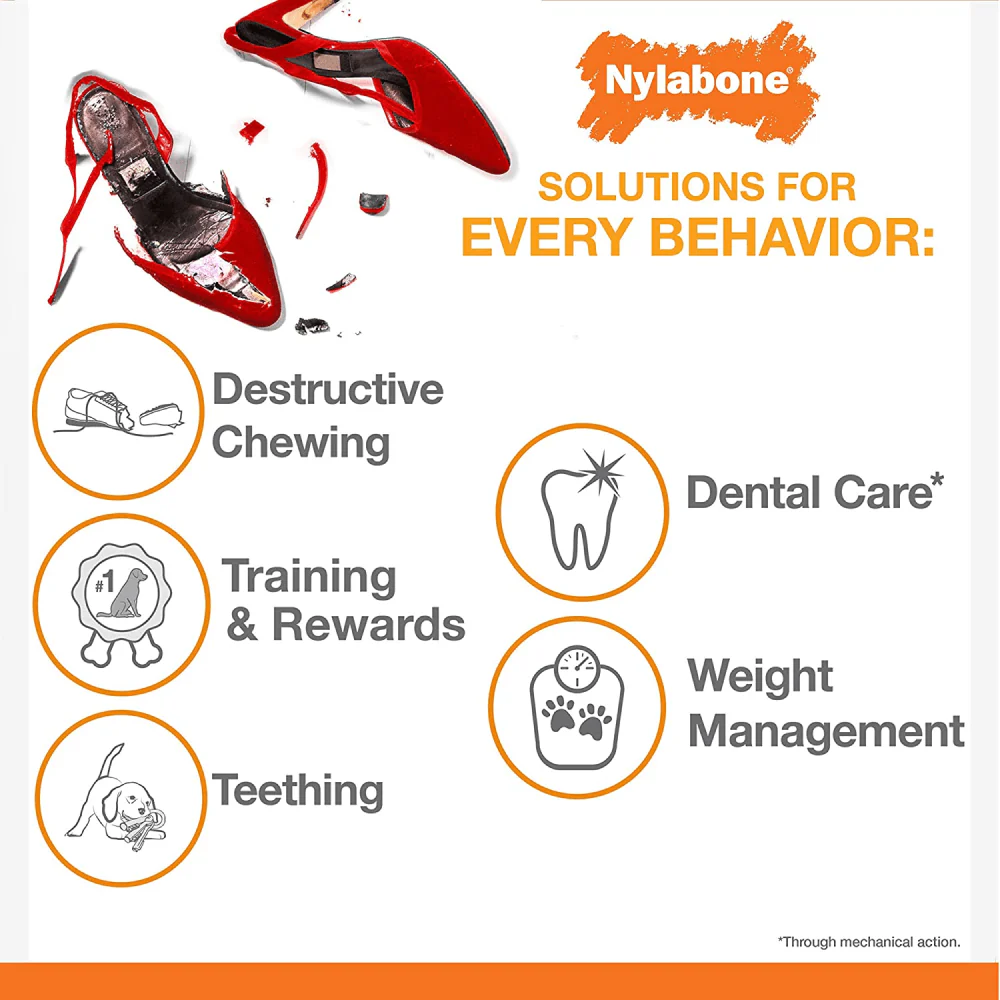 Nylabone Puppy Power Chew Toy for Dogs (Orange) - Image 6