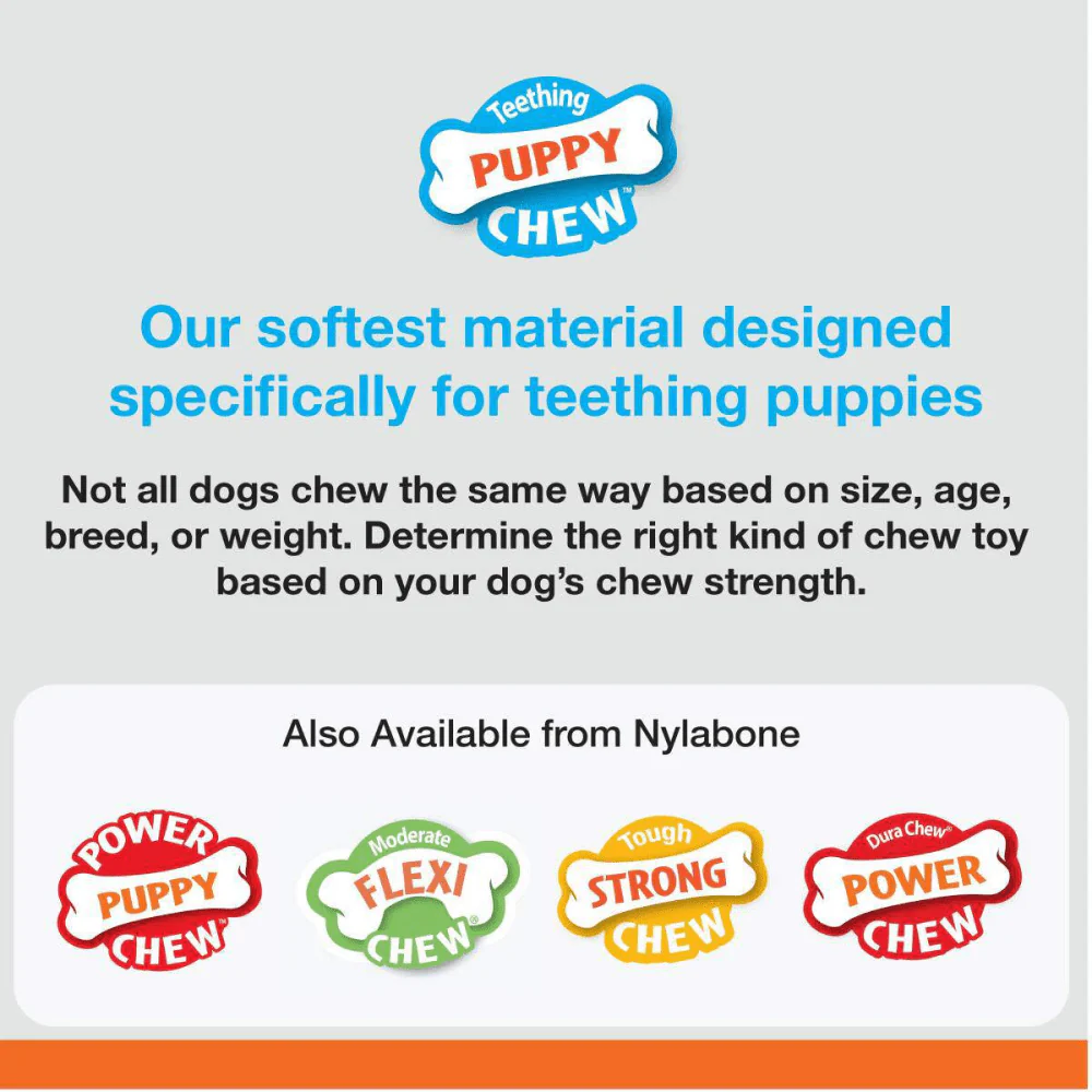 Nylabone Puppy Teething Bacon Flavoured Pacifier Toy for Dogs (Blue/Pink) - Image 9
