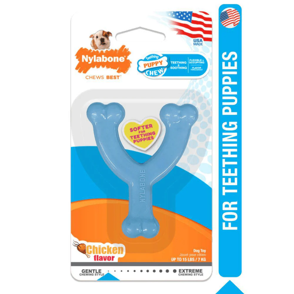 Nylabone Puppy Teething Chicken Flavoured Wish Bone Chew Toy for Dogs (Blue) - Image 10
