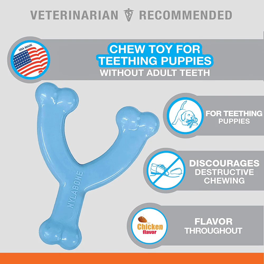 Nylabone Puppy Teething Chicken Flavoured Wish Bone Chew Toy for Dogs (Blue) - Image 9