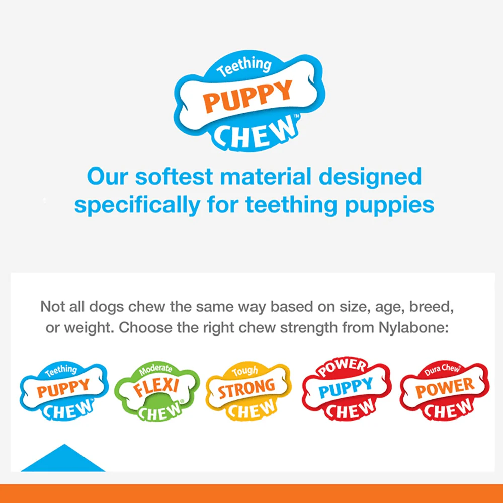 Nylabone Puppy Teething Chicken Flavoured Chew Bone Toy for Dogs (Brown) - Image 7