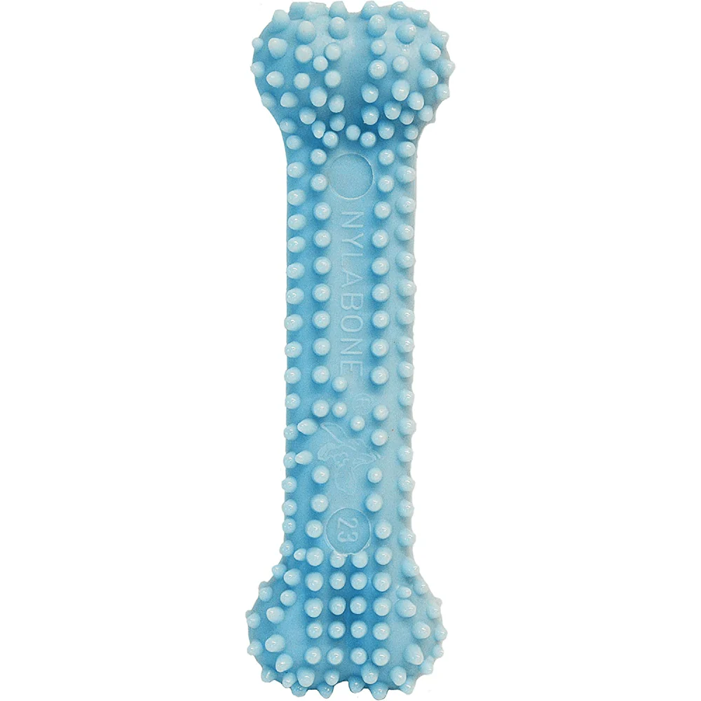 Nylabone Puppy Teething Chicken Flavoured Dental Bone Chew Toy for Dogs (Blue) - Image 3