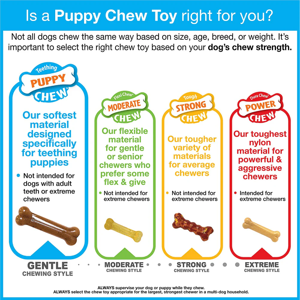 Nylabone Puppy Teething Chicken Flavoured Dental Bone Chew Toy for Dogs (Blue) - Image 8