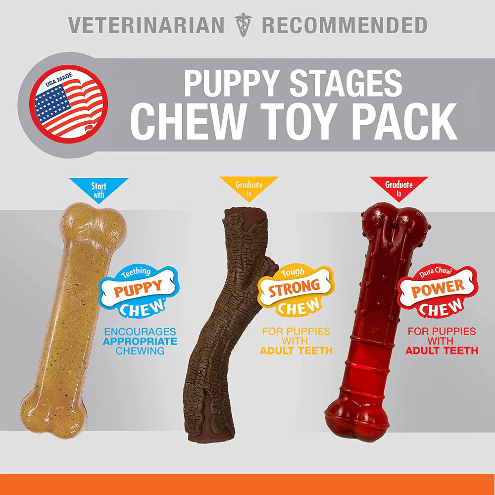 Nylabone Puppy Teething Chicken,Maple Bacon and Beef Jerky Flavoured Chew Stage Toy for Dogs (Brown/Red) - Image 4