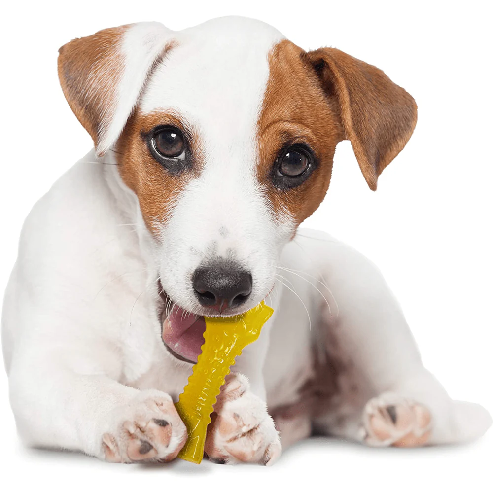 Nylabone Puppy Teething Lamb and Apple Flavoured Chew Bone Toy for Dogs (Yellow) - Image 6