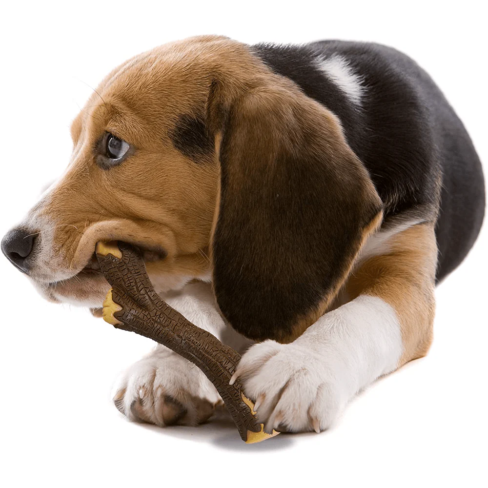 Nylabone Puppy Teething Maple Bacon Flavoured Stong Chew Real Wood Sticks Toy for Dogs (Brown) - Image 6