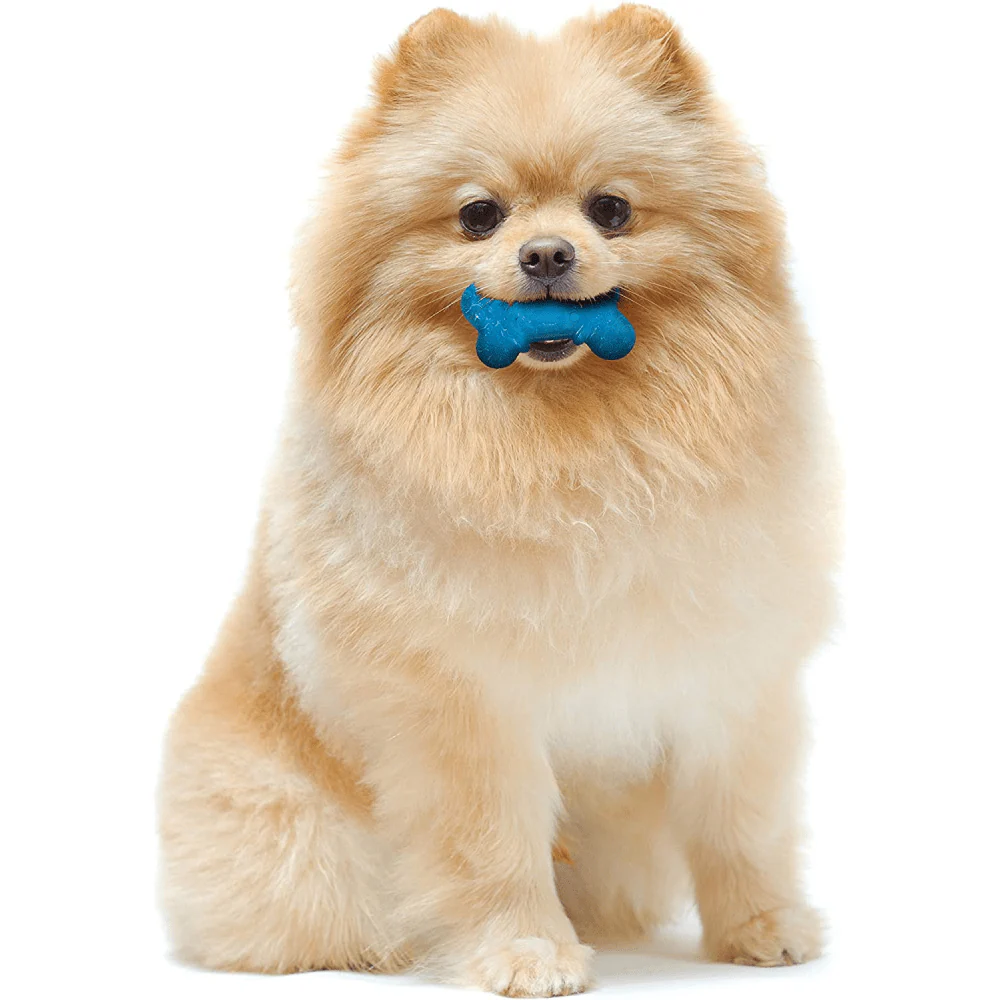 Nylabone Puppy Teething Peanut Butter and Bacon Flavoured Flexi Chew Bone Toy for Dogs (Orange/Blue) - Image 7