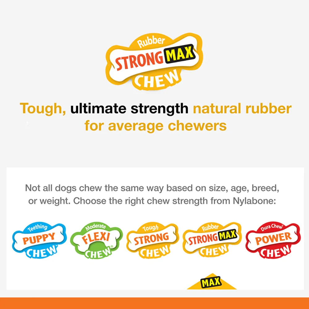 Nylabone Sliver Collection Beef Flavoured Stong Chew Toy for Dogs (Orange) - Image 5