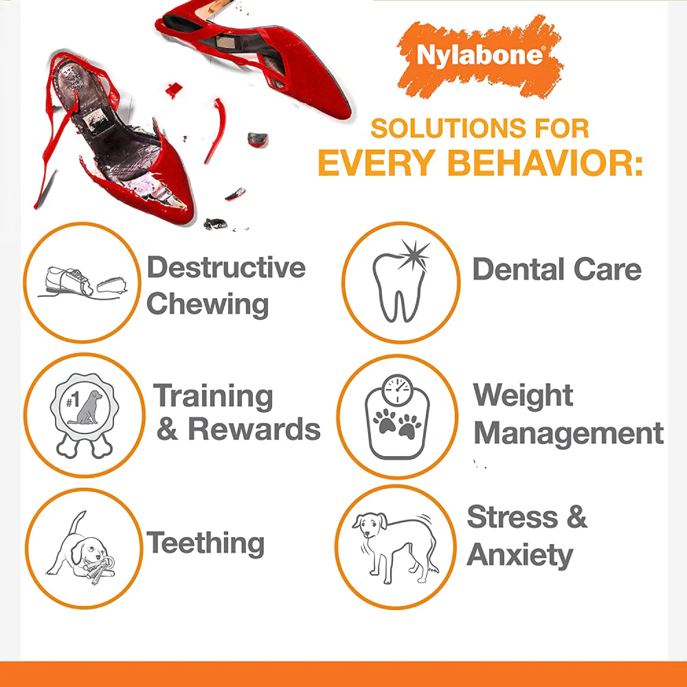 Nylabone Sliver Collection Beef Flavoured Stong Chew Toy for Dogs (Orange) - Image 8