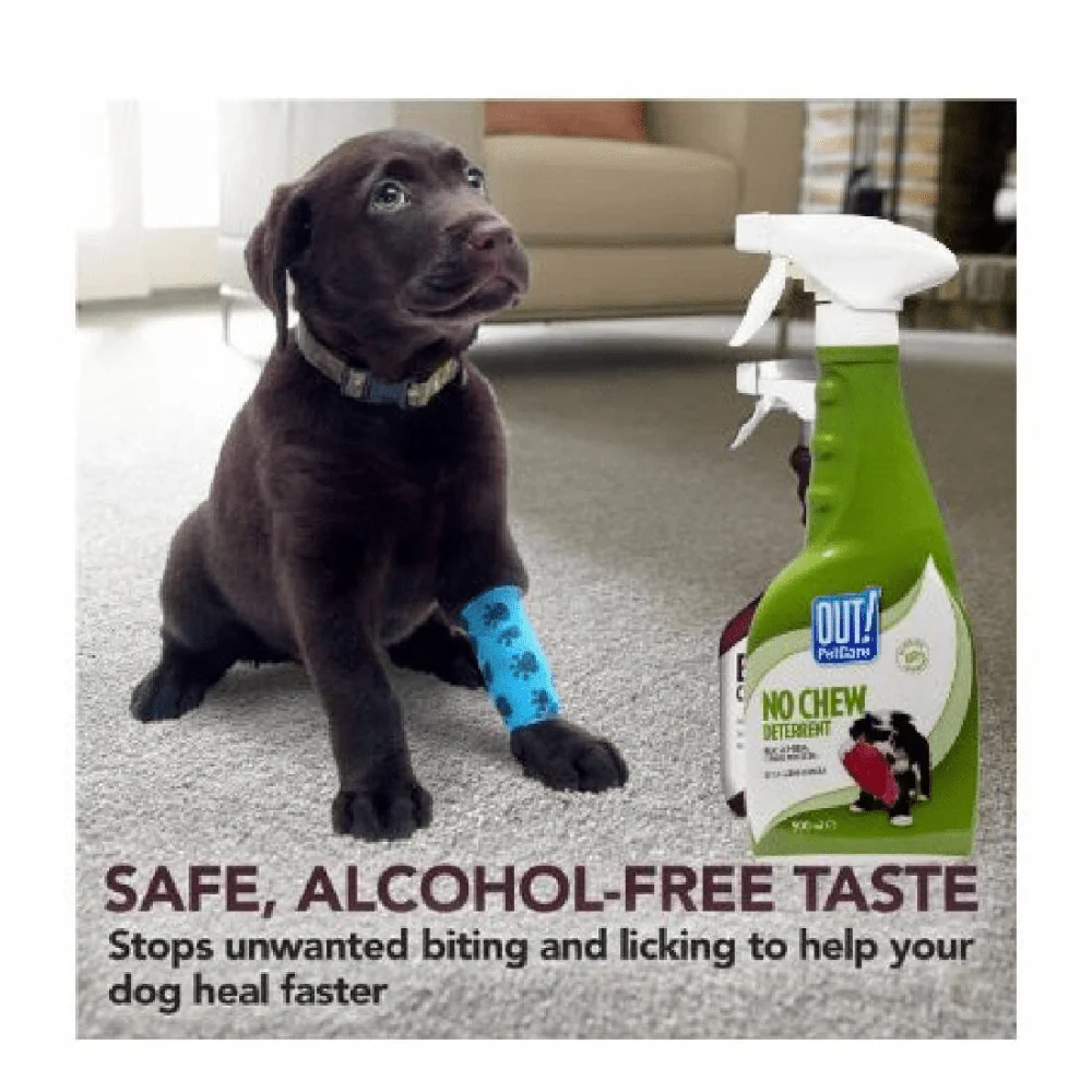 OUT! Chew Stopper for Dogs - Image 4