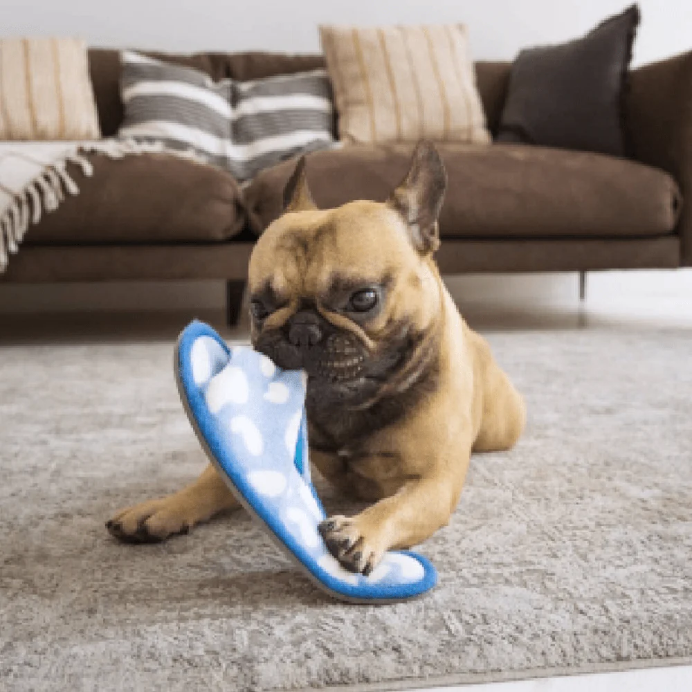 OUT! Chew Stopper for Dogs - Image 5