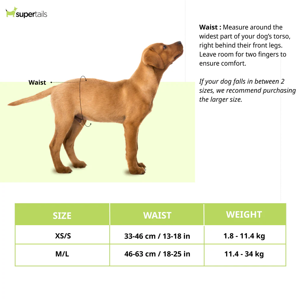 OUT! Disposable Female Diapers for Dogs (46x63cm) - Image 2