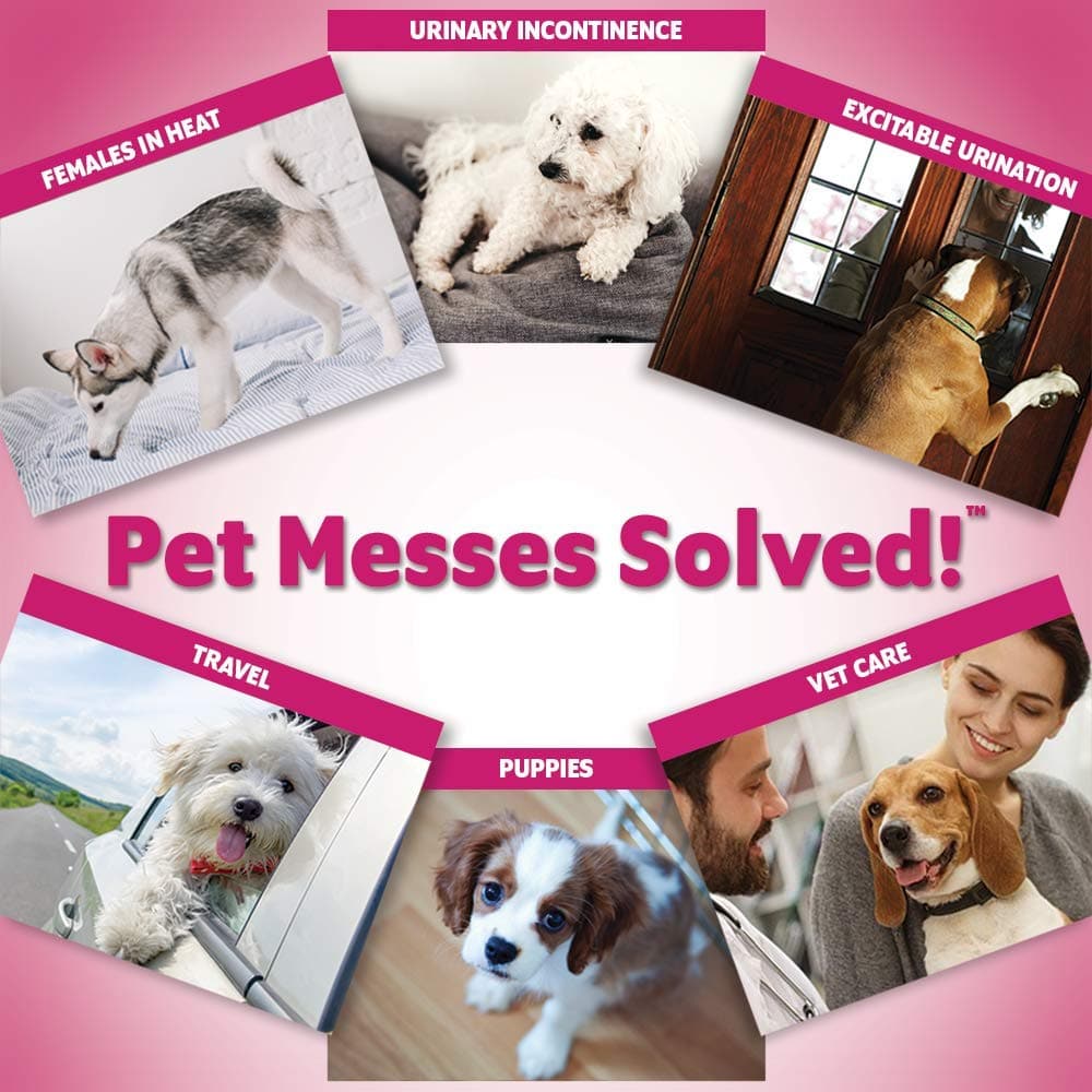 OUT! Disposable Female Diapers for Dogs (46x63cm) - Image 7