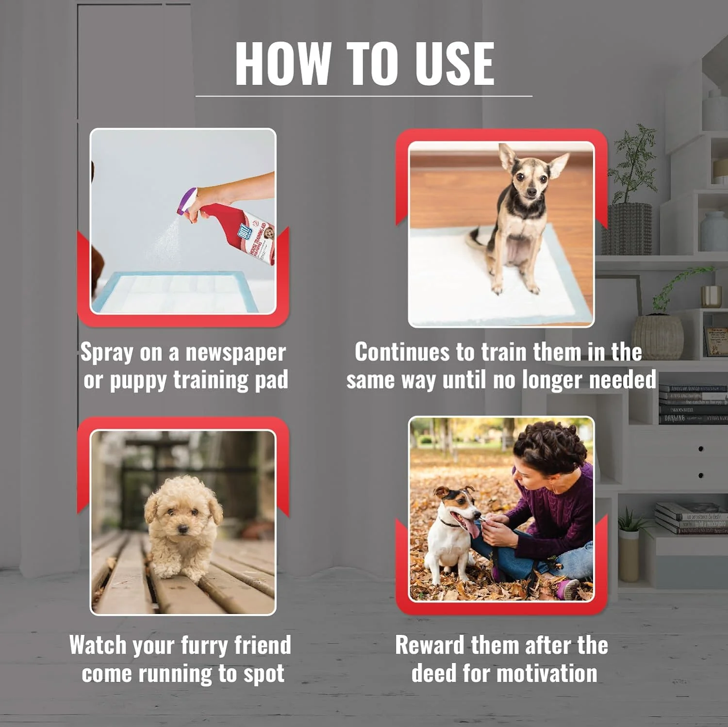 OUT! Toilet Training Aid for Puppies - Image 3