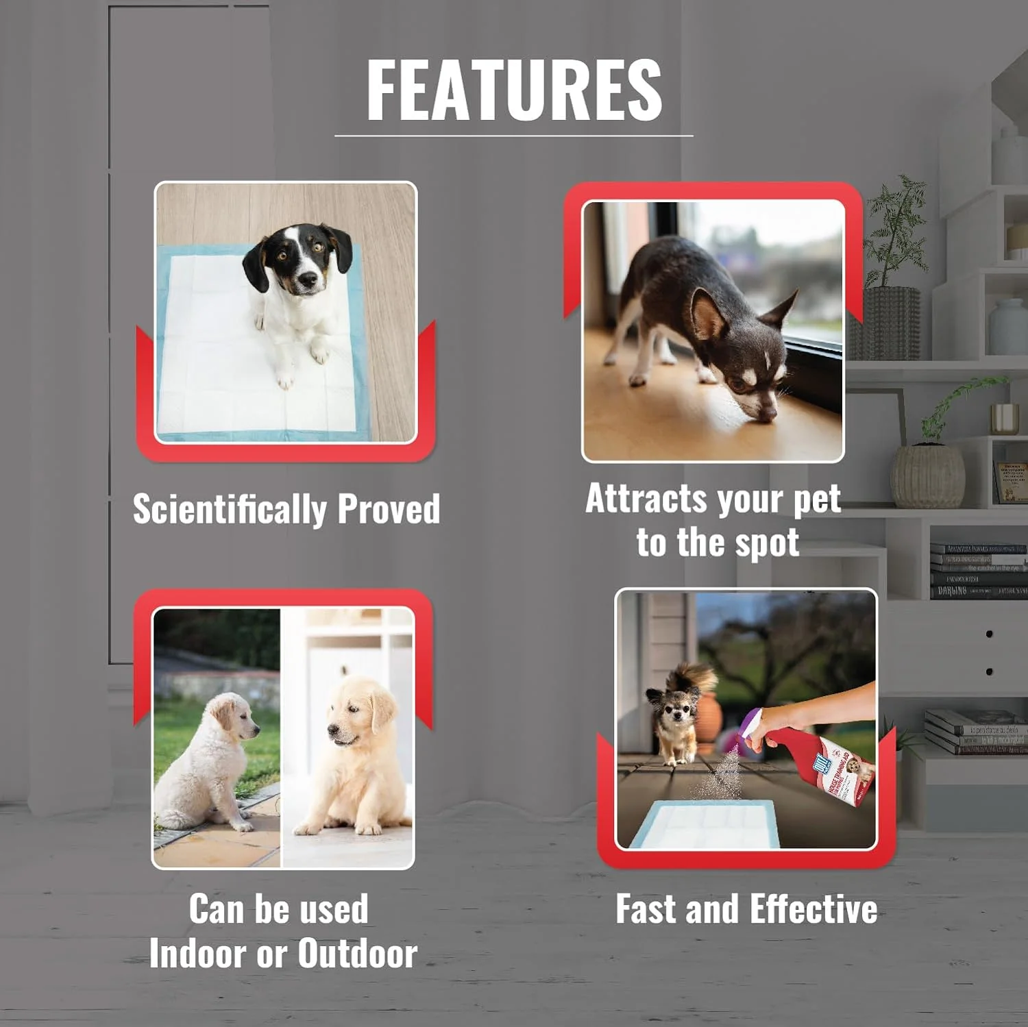 OUT! Toilet Training Aid for Puppies - Image 4