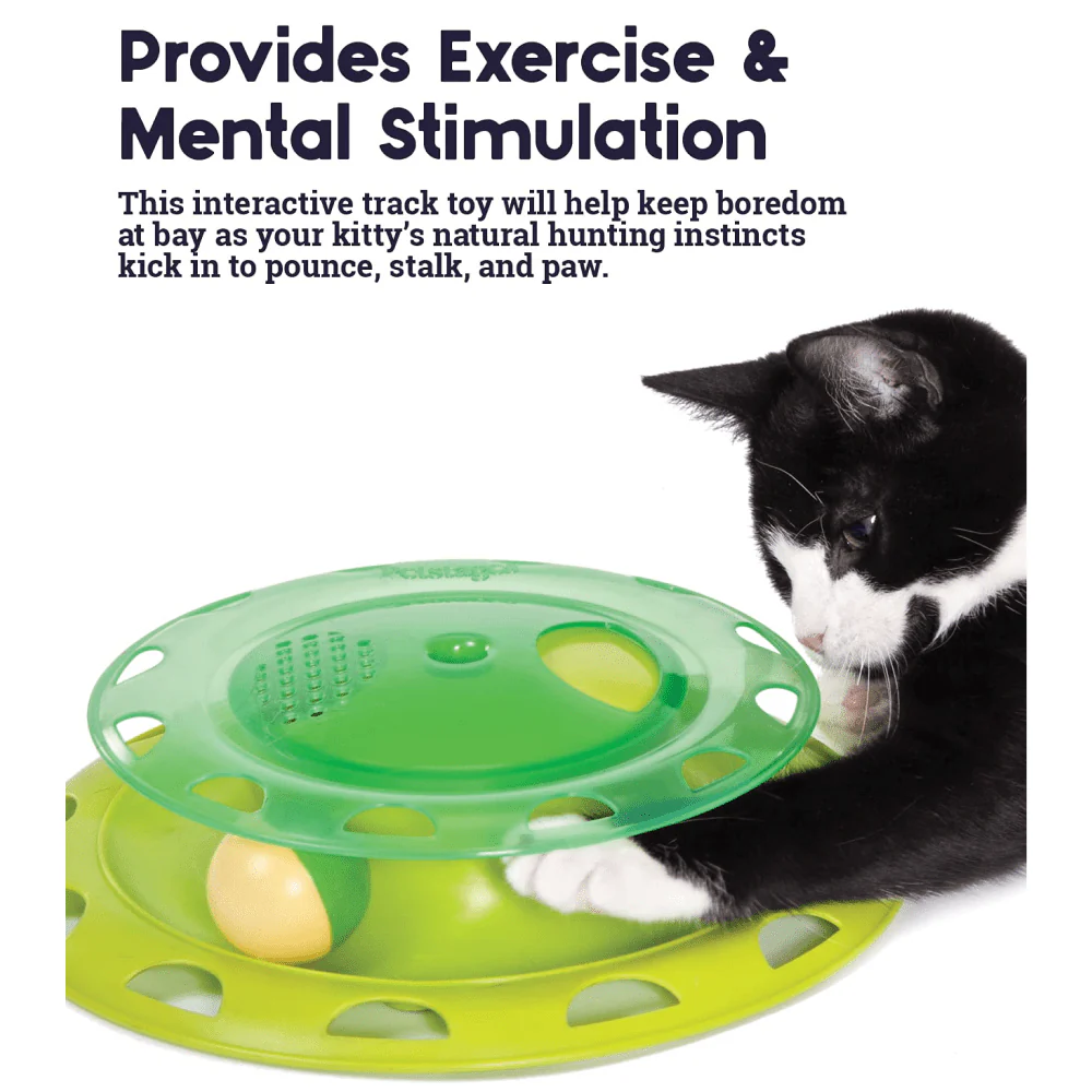 Outward Hound Catnip Chaser Independent Play Toy for Cats - Image 5