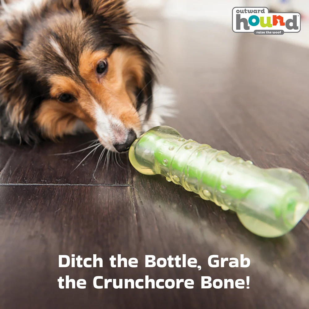Outward Hound Crunchcore Bone Chew Toy for Dogs - Image 3