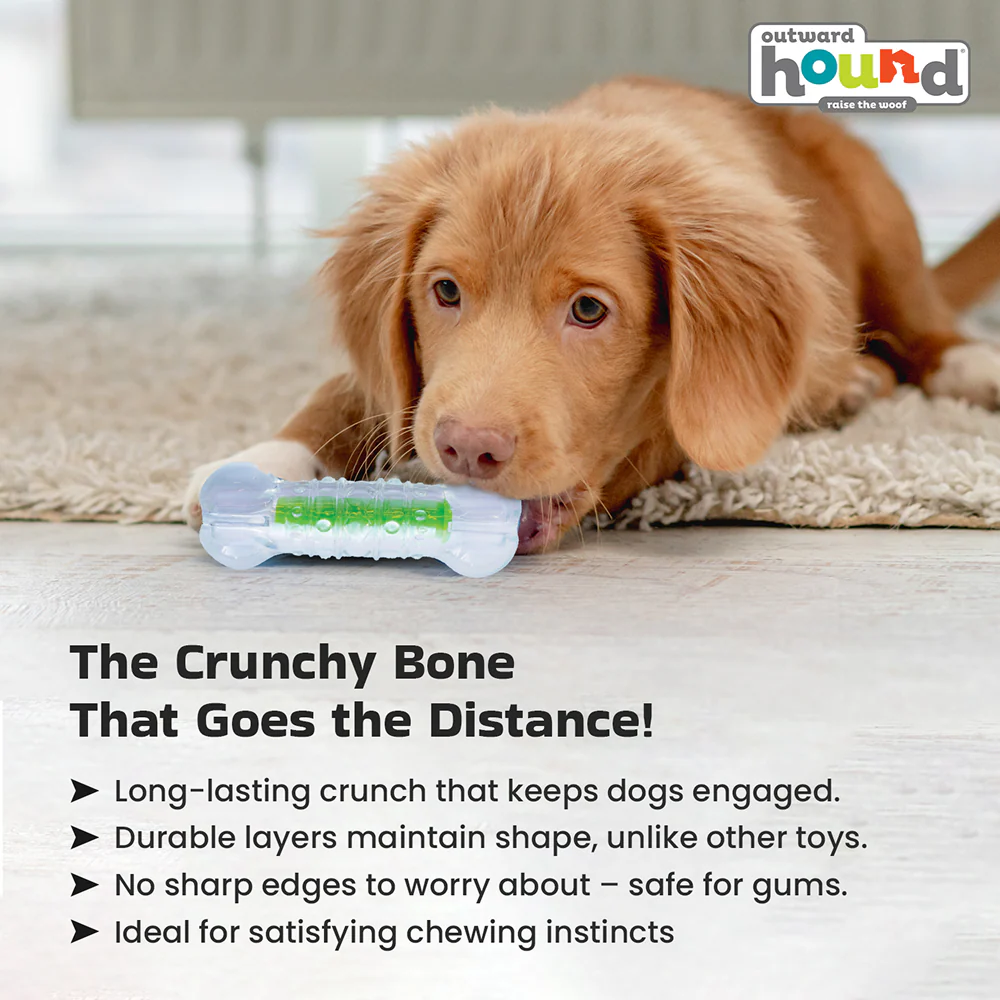 Outward Hound Crunchcore Bone Chew Toy for Dogs - Image 6