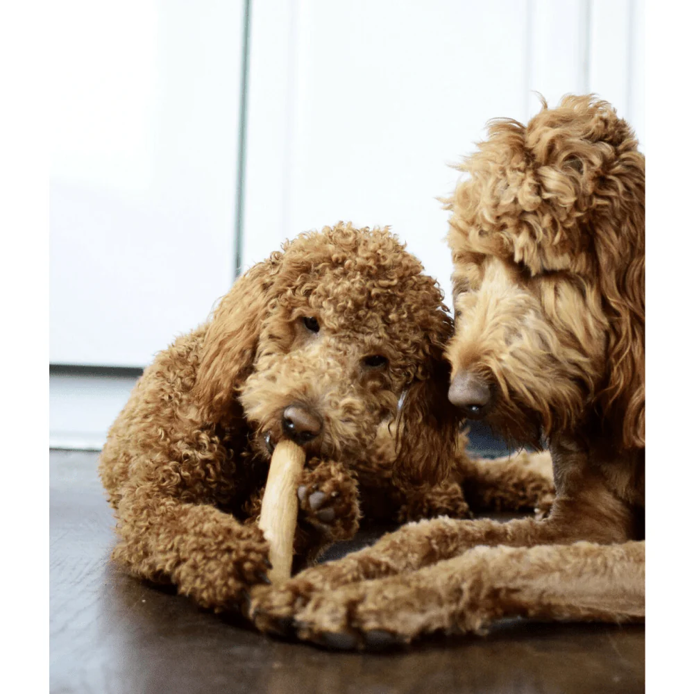 Petstages Dogwood Durable Stick for Dogs | For Aggressive Chewers - Image 5