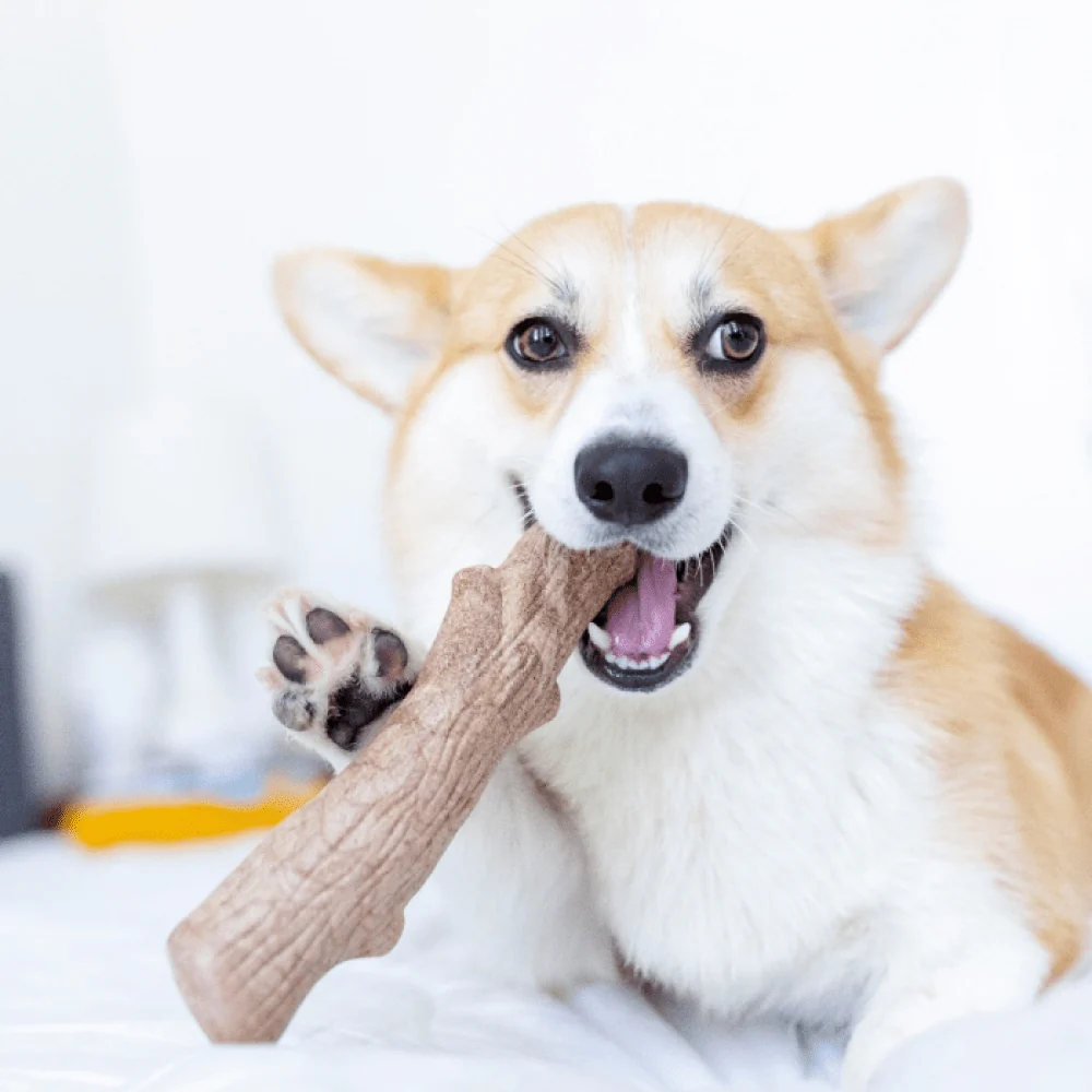 Petstages Dogwood Durable Stick for Dogs | For Aggressive Chewers - Image 2