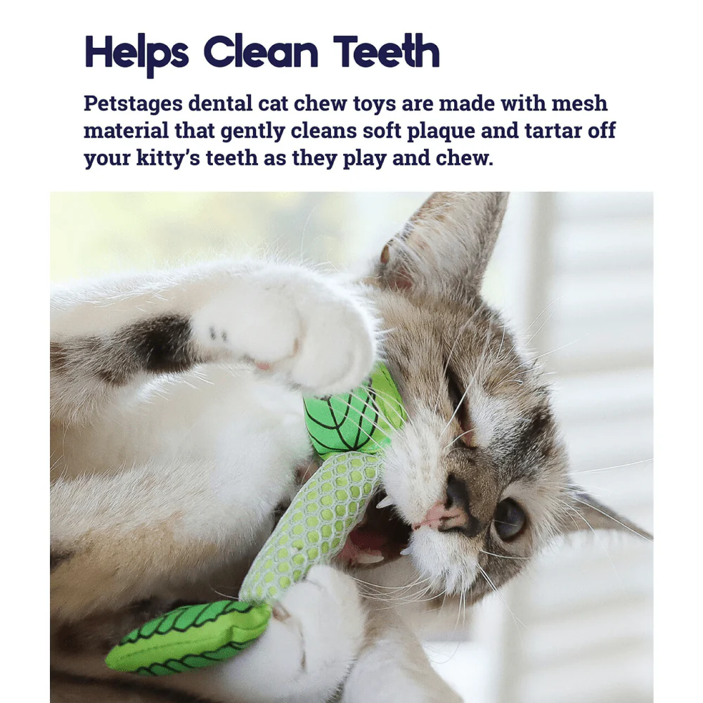 Outward Hound Fresh Breath Mint Stick for Cats - Image 4