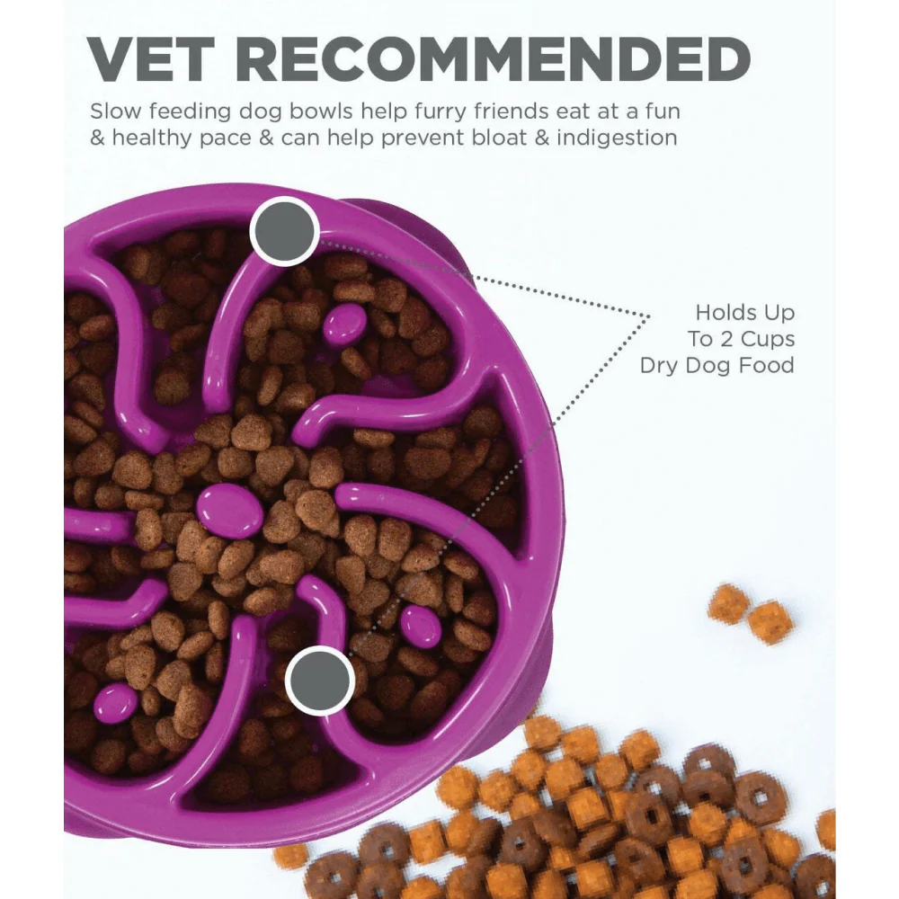 Outward Hound Fun/Slow Feeder for Dogs (Purple) - Image 4