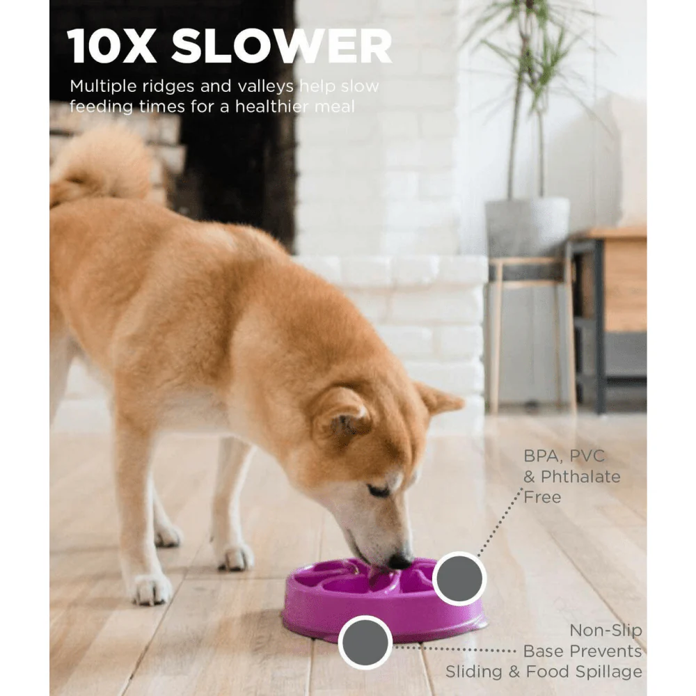Outward Hound Fun/Slow Feeder for Dogs (Purple) - Image 5